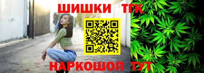 хмурый Камышлов
