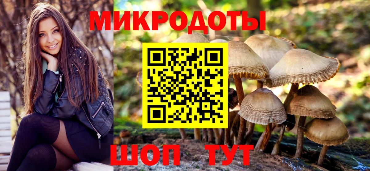 Псилоцибиновые грибы Magic Shrooms  купить закладку  Янаул  Вход с VPN 